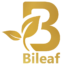 logo web