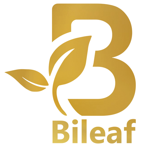 logo web